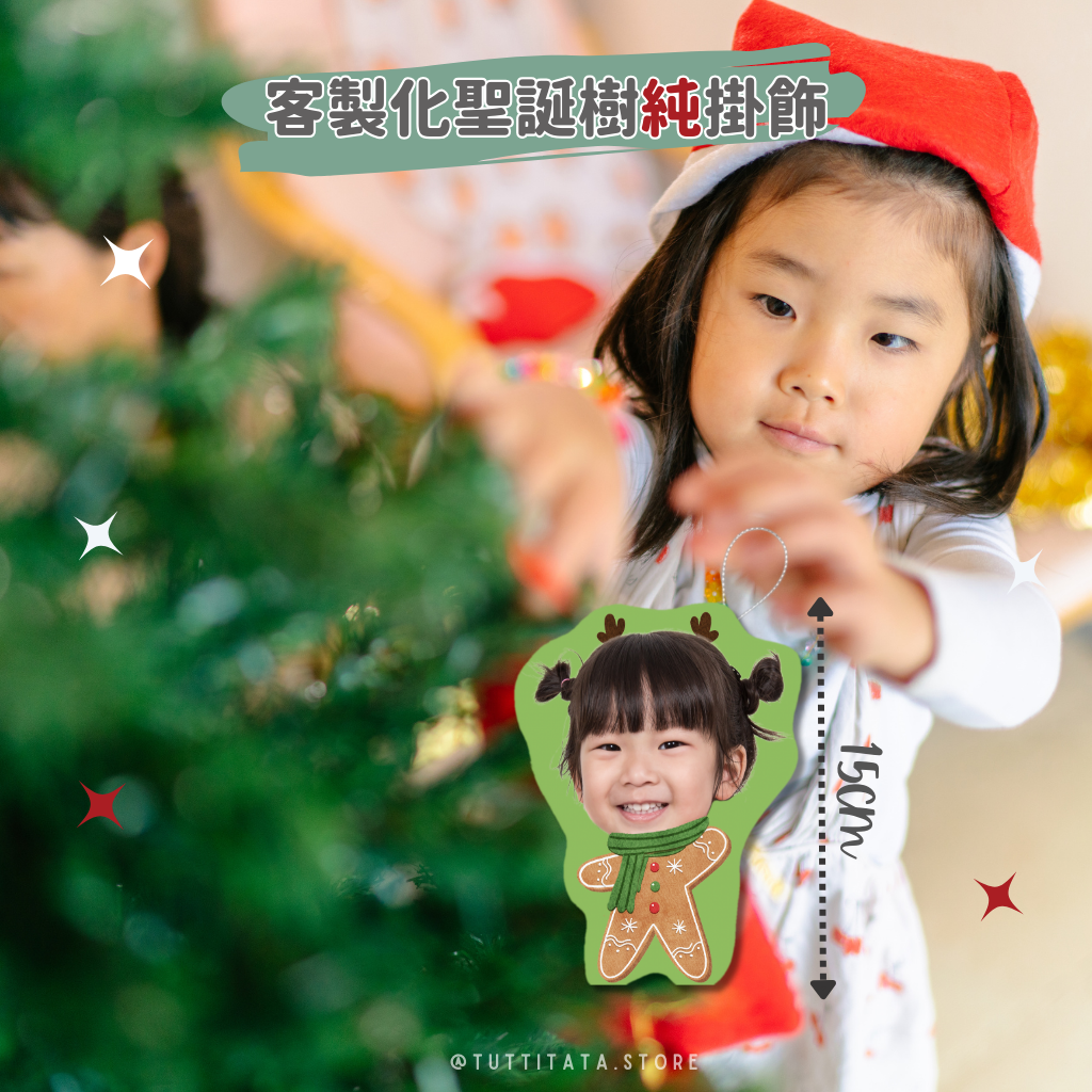 聖誕純掛飾套裝 (*此連結沒有掛布~!)
