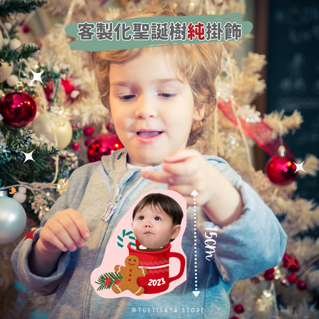 聖誕純掛飾套裝 (*此連結沒有掛布~!)