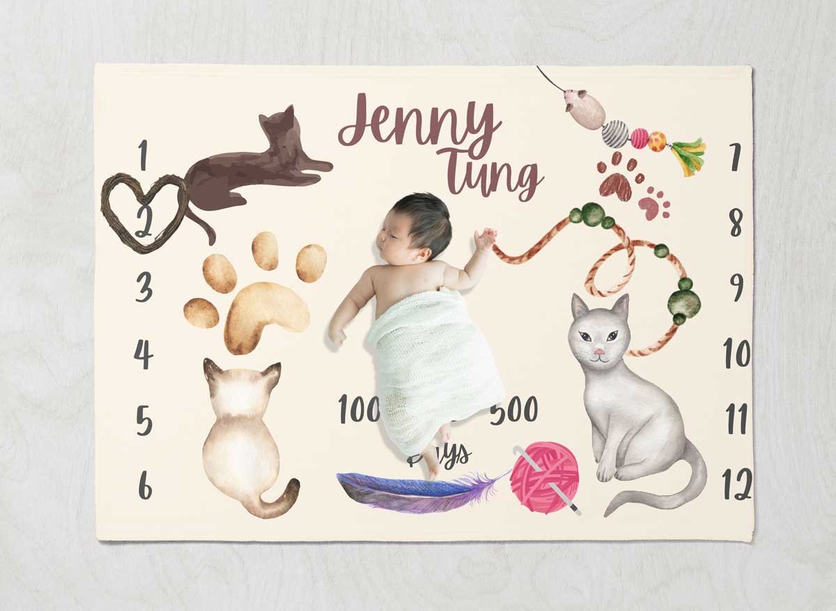 Cat Fantasy